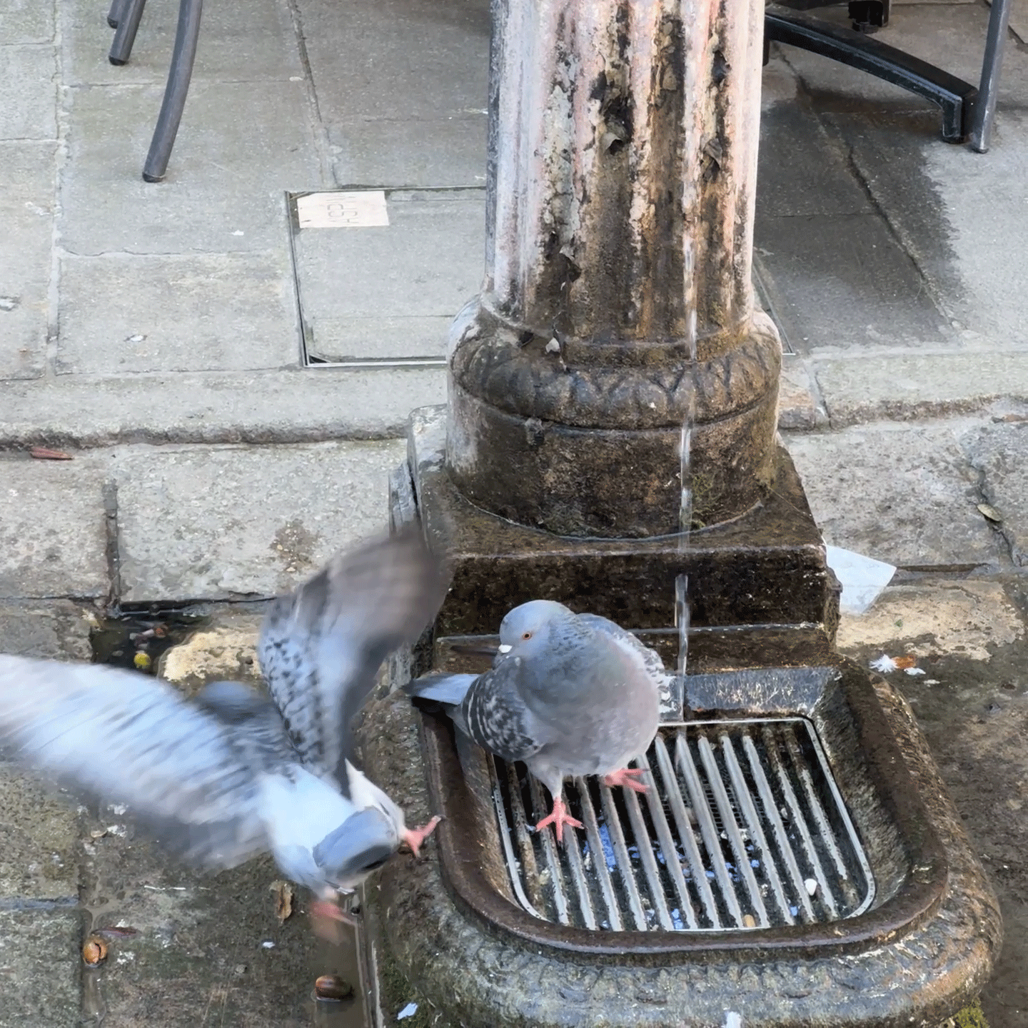 Do the Arts Perform Poverty?