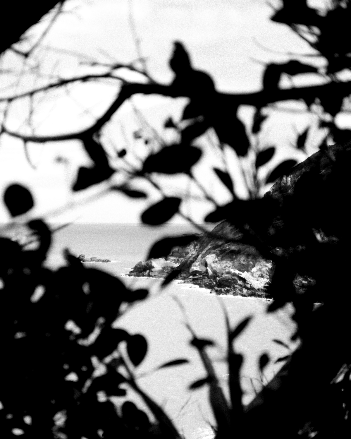 Call of the Void, trying new things, prototyping, artists' working capital