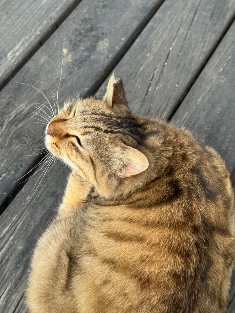 More Experiments, More Learning Together