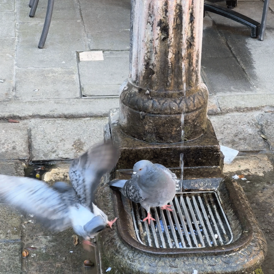 Do the Arts Perform Poverty?